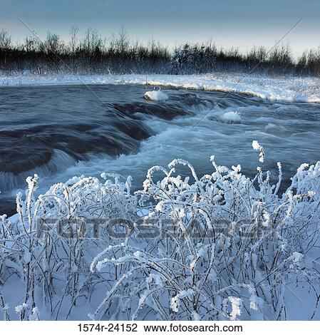 Snow covering bushes at the riverside, Ellidaar River, Iceland View Large Photo Image Stock Image - Snow covering bushes at the riverside, Ellidaar River, Iceland. Fotosearch
