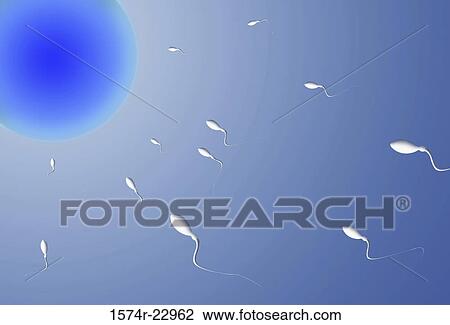Sperm fertilizing an egg View Large Photo Image Stock Image - Sperm fertilizing an egg. Fotosearch