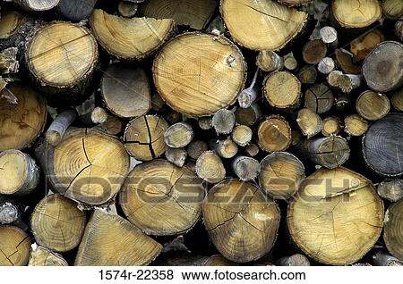 Stack of wood logs View Large Photo Image Stock Photo - Stack of wood logs. Fotosearch