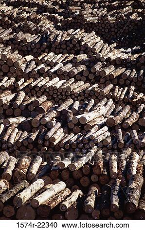 Stacks of wood logs View Large Photo Image Stock Image - Stacks of wood logs. Fotosearch