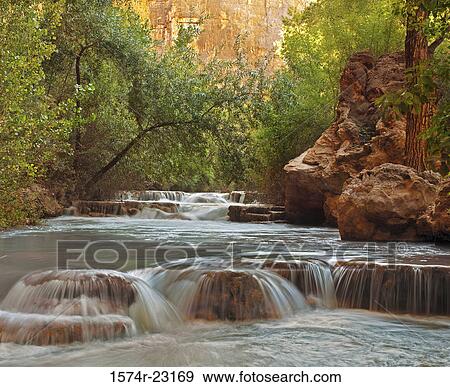 Stream flowing through a forest, Havasu Creek, Grand Canyon National Park, Arizona, USA View Large Photo Image Stock Photo - Stream flowing through a forest, Havasu Creek, Grand Canyon National Park, Arizona, USA. Fotosearch
