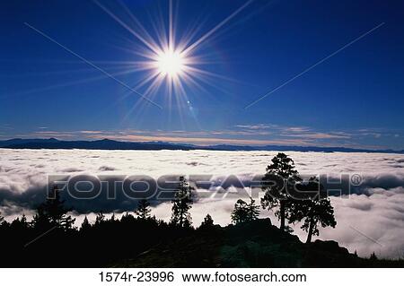 Stock Photograph - Sun shining over a snow covered landscape, Spencer Butte Park, Oregon, USA. Fotosearch