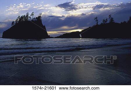 Sunset at Second Beach, Olympic National Park, Washington, USA View Large Photo Image Stock Image - Sunset at Second Beach, Olympic National Park, Washington, USA. Fotosearch