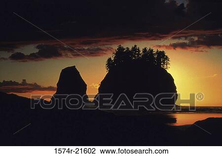 Sunset at Second Beach, Olympic National Park, Washington, USA View Large Photo Image Stock Image - Sunset at Second Beach, Olympic National Park, Washington, USA. Fotosearch