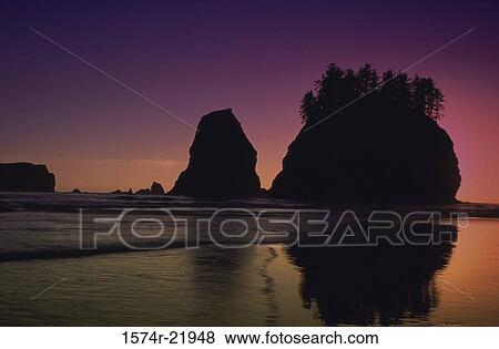 Sunset at Second Beach, Olympic National Park, Washington, USA View Large Photo Image Stock Photo - Sunset at Second Beach, Olympic National Park, Washington, USA. Fotosearch