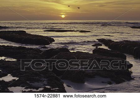 Sunset over a beach, San Diego, California, USA View Large Photo Image Stock Image - Sunset over a beach, San Diego, California, USA. Fotosearch