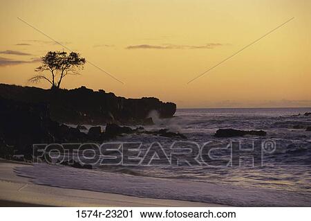 Sunset over a beach, Waimea Bay, Oahu, Hawaii, USA View Large Photo Image Stock Image - Sunset over a beach, Waimea Bay, Oahu, Hawaii, USA. Fotosearch
