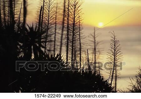 Sunset over a lake View Large Photo Image Stock Photo - Sunset over a lake. Fotosearch