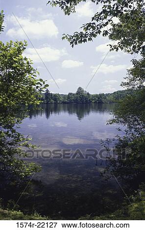 Trees and sky reflecting on a lake View Large Photo Image Stock Photo - Trees and sky reflecting on a lake. Fotosearch