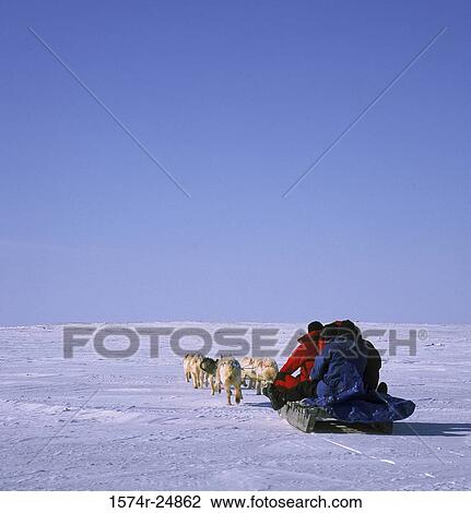 Stock Image - Two people riding a sled pulled by huskies, Cambridge Bay, Nunavut, Canada. Fotosearch