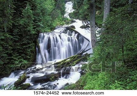 Stock Image - Waterfall in a forest, Hunts Creek Falls, Mount Jefferson Wilderness, Willamette National Forest, Oregon, USA. Fotosearch