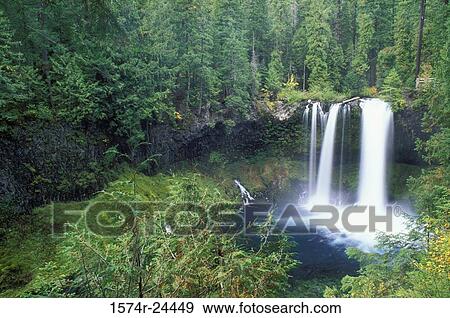 Waterfall in a forest, Koosah Falls, McKenzie Wild and Scenic River, Oregon, USA View Large Photo Image Stock Photo - Waterfall in a forest, Koosah Falls, McKenzie Wild and Scenic River, Oregon, USA. Fotosearch