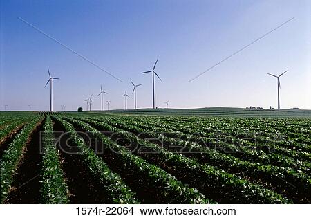 Picture - Wind turbines in a farm field, Iowa, USA. Fotosearch