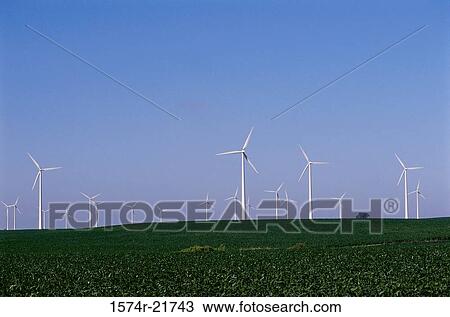 Wind turbines on a grassy field, Iowa, USA View Large Photo Image Stock Image - Wind turbines on a grassy field, Iowa, USA. Fotosearch