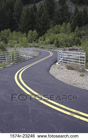 Winding road through a forest View Large Photo Image Stock Photograph - Winding road through a forest. Fotosearch
