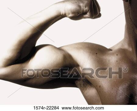 Picture - Young man flexing his biceps. Fotosearch
