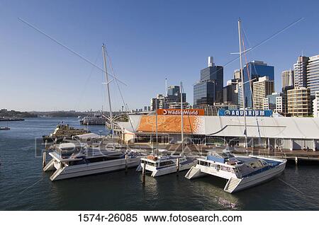 Boats docked in a harbor, Darling Harbor, Sydney, Australia View Large Photo Image Stock Photography - Boats docked in a harbor, Darling Harbor, Sydney, Australia. Fotosearch