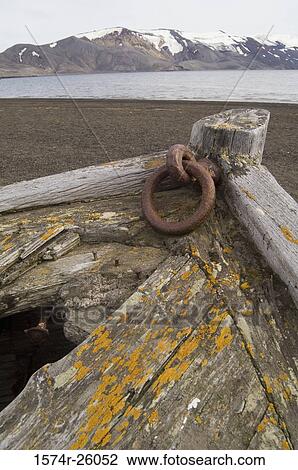 Close-up of a dilapidated boat, Telephone Bay, Deception Island, South Shetlands Islands, Antarctica View Large Photo Image Stock Image - Close-up of a dilapidated boat, Telephone Bay, Deception Island, South Shetlands Islands, Antarctica. Fotosearch