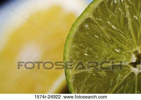 Close-up of a slice of lime View Large Photo Image Stock Image - Close-up of a slice of lime. Fotosearch