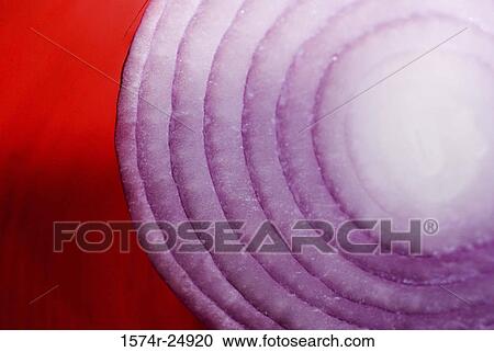Close-up of a sliced onion View Large Photo Image Stock Image - Close-up of a sliced onion. Fotosearch