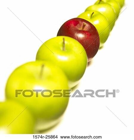 Close-up of apples in a row View Large Photo Image Picture - Close-up of apples in a row. Fotosearch