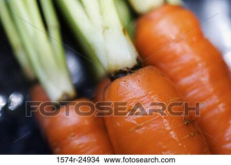 Close-up of carrots View Large Photo Image Picture - Close-up of carrots. Fotosearch