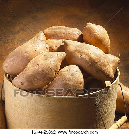 Close-up of yams in a bucket View Large Photo Image Stock Image - Close-up of yams in a bucket. Fotosearch