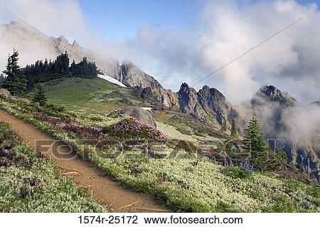 Clouds over mountains, Klahhane Ridge, Olympic National Park, Washington, USA View Large Photo Image Stock Image - Clouds over mountains, Klahhane Ridge, Olympic National Park, Washington, USA. Fotosearch
