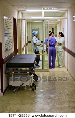 Four female nurses standing in a corridor of hospital View Large Photo Image Stock Photograph - Four female nurses standing in a corridor of hospital. Fotosearch