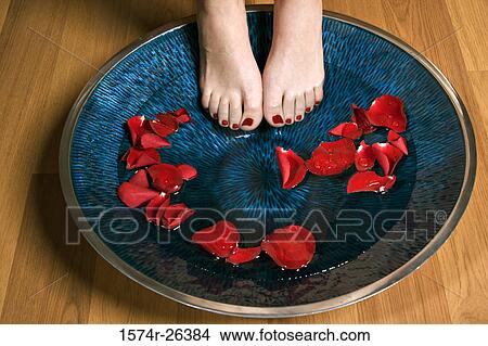 High angle view of a woman's feet in a bowl of water with petals View Large Photo Image Picture - High angle view of a woman's feet in a bowl of water with petals. Fotosearch