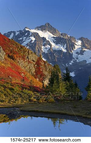 Lake in front of mountains, Mount Shuksan, North Cascades National Park, Washington, USA View Large Photo Image Stock Photo - Lake in front of mountains, Mount Shuksan, North Cascades National Park, Washington, USA. Fotosearch