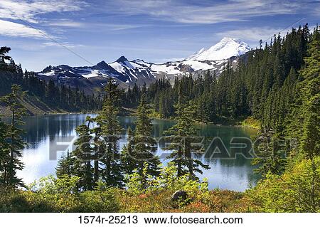 Lake surrounded by trees, Mount Baker Wilderness, Washington, USA View Large Photo Image Stock Image - Lake surrounded by trees, Mount Baker Wilderness, Washington, USA. Fotosearch