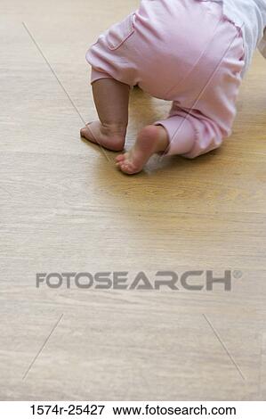 Low section view of a baby girl crawling View Large Photo Image Stock Photo - Low section view of a baby girl crawling. Fotosearch