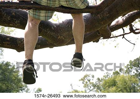 Low section view of a teenage boy sitting on a tree branch View Large Photo Image Stock Image - Low section view of a teenage boy sitting on a tree branch. Fotosearch