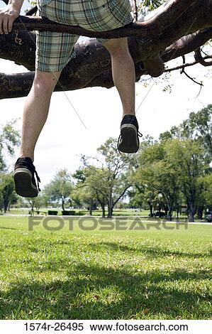 Low section view of a teenage boy sitting on a tree branch View Large Photo Image Stock Photography - Low section view of a teenage boy sitting on a tree branch. Fotosearch