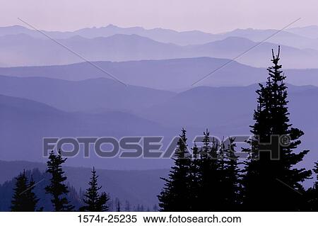 Panoramic view of mountains covered in fog, Mount Rainier National Park, Washington, USA View Large Photo Image Stock Photography - Panoramic view of mountains covered in fog, Mount Rainier National Park, Washington, USA. Fotosearch
