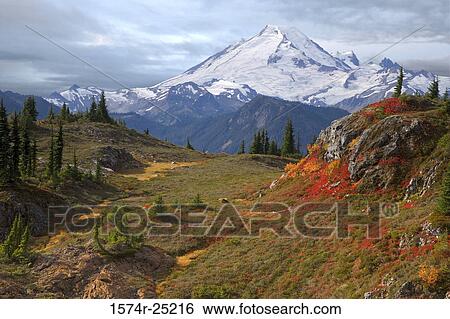 Panoramic view of snow covered mountains, Mount Baker, Washington, USA View Large Photo Image Stock Photograph - Panoramic view of snow covered mountains, Mount Baker, Washington, USA. Fotosearch