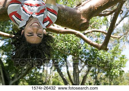 Portrait of a young man hanging upside down in a tree View Large Photo Image Stock Image - Portrait of a young man hanging upside down in a tree. Fotosearch