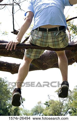 Rear view of a teenage boy sitting on a tree branch View Large Photo Image Picture - Rear view of a teenage boy sitting on a tree branch. Fotosearch