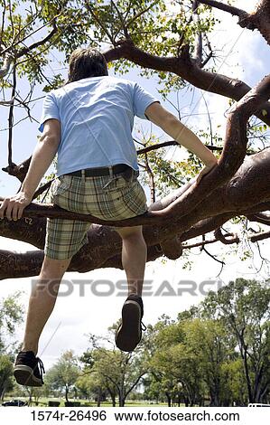 Rear view of a teenage boy sitting on a tree branch View Large Photo Image Stock Photograph - Rear view of a teenage boy sitting on a tree branch. Fotosearch