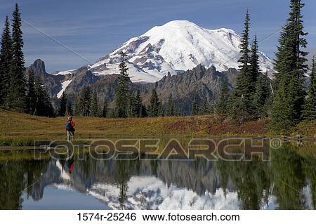 Reflection of a snowcapped mountain in a lake, Tipsoo Lake, Mount Rainier, Mount Rainier National Park, Washington, USA View Large Photo Image Stock Photograph - Reflection of a snowcapped mountain in a lake, Tipsoo Lake, Mount Rainier, Mount Rainier National Park, Washington, USA. Fotosearch