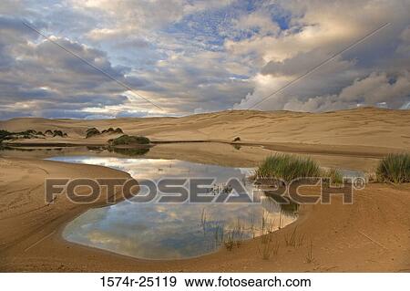 Reflection of clouds in a lake, Siuslaw National Forest, Oregon, USA View Large Photo Image Stock Photo - Reflection of clouds in a lake, Siuslaw National Forest, Oregon, USA. Fotosearch