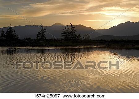 Reflection of mountains and trees in water, Hood Canal, Olympic Mountains, Washington, USA View Large Photo Image Stock Photo - Reflection of mountains and trees in water, Hood Canal, Olympic Mountains, Washington, USA. Fotosearch