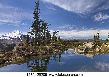 Reflection of trees and rocks in water, Mount Baker Wilderness, Washington, USA View Large Photo Image Stock Photo - Reflection of trees and rocks in water, Mount Baker Wilderness, Washington, USA. Fotosearch