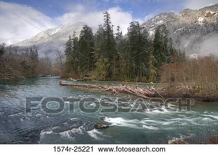 Stock Image - River passing through a forest, Elwha River, Olympic National Park, Washington, USA. Fotosearch