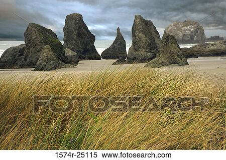 Sea stacks and tall grass on the beach, Bandon, Oregon, USA View Large Photo Image Stock Photography - Sea stacks and tall grass on the beach, Bandon, Oregon, USA. Fotosearch