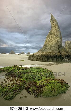 Sea stacks on the beach, Bandon, Oregon, USA View Large Photo Image Stock Image - Sea stacks on the beach, Bandon, Oregon, USA. Fotosearch
