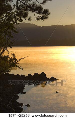 Silhouette of a tree at dusk, Donner Lake, Truckee, California, USA View Large Photo Image Stock Photograph - Silhouette of a tree at dusk, Donner Lake, Truckee, California, USA. Fotosearch