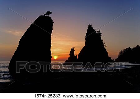 Silhouette of sea stacks in the sea, Rialto Beach, Olympic National Park, Washington, USA View Large Photo Image Stock Image - Silhouette of sea stacks in the sea, Rialto Beach, Olympic National Park, Washington, USA. Fotosearch