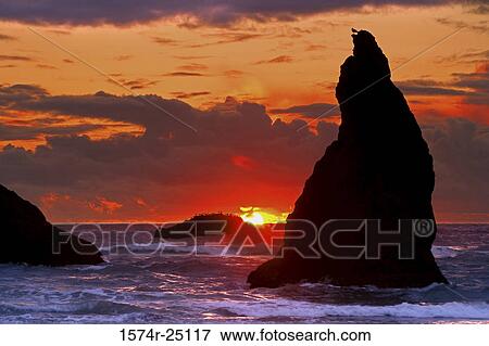 Silhouette of sea stacks in the sea, Bandon, Oregon, USA View Large Photo Image Stock Photo - Silhouette of sea stacks in the sea, Bandon, Oregon, USA. Fotosearch